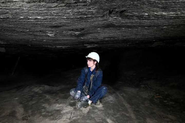 Grafika promocyjna wydarzenia Podziemny świat soli — odkryj kopalnię oczami geologa