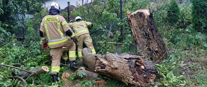 Po silnym wietrze strażacy ruszyli do 59 interwencji w powiecie wielickim