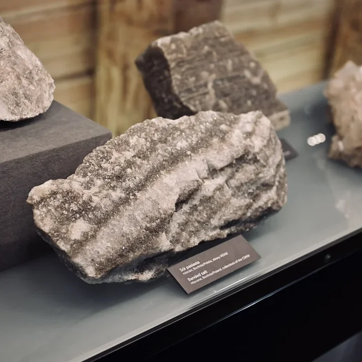 Pod ziemią jak w pracowni natury - Piękno soli w Kopalni Bochnia