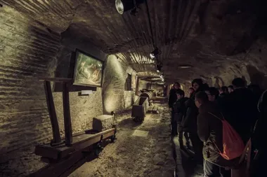 Rodzinne zejście do legend w Muzeum Żup Krakowskich Wieliczka - Kopalnia i Zamek - bajki spod ziemi