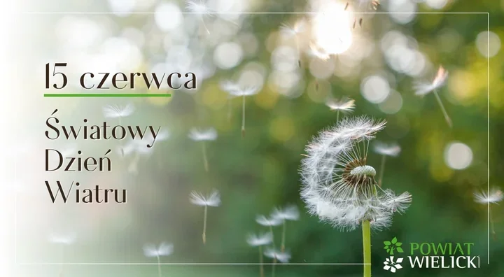 Wiatr napędzał młyny. Dziś wspiera czystsze powietrze