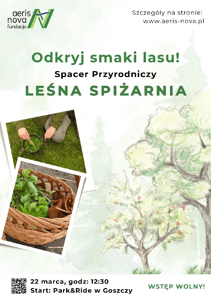 Spacer Przyrodniczy Leśna Spiżarnia – nauka zbierania jadalnych roślin i pomysły na dania z lasu
