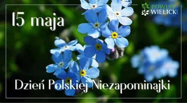 Niezapominajka wraca do głosu. To mały znak troski o przyrodę