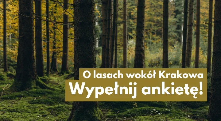 Mieszkańcy wskażą ważne miejsca w lasach. Osobna ankieta dla Nadleśnictwa Niepołomice